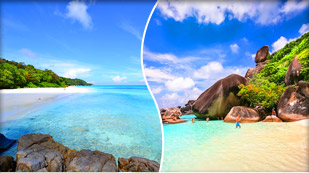 Tachai Island + Similan Island